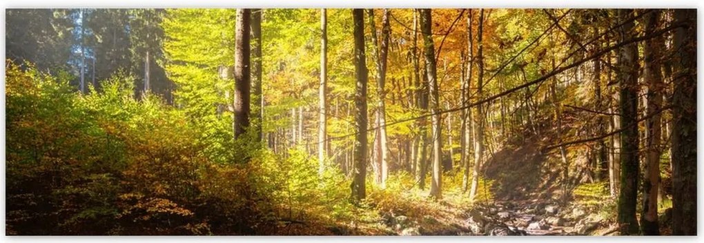 Poszterek 200x66 Tájkép