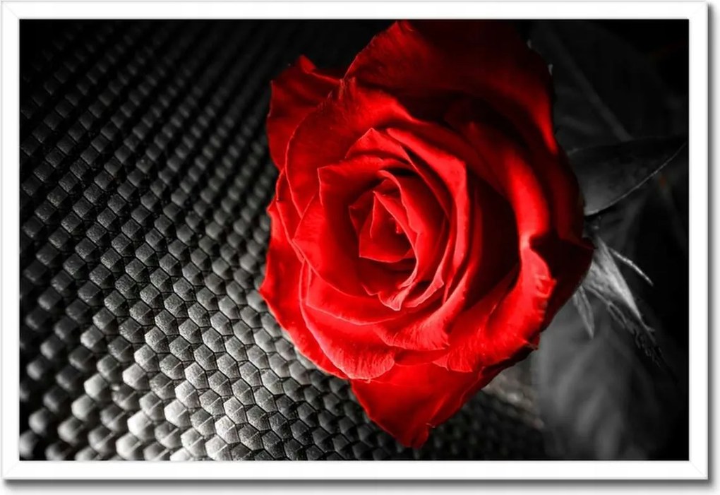 Poszterek keretben 60x40 Piros a szürke között