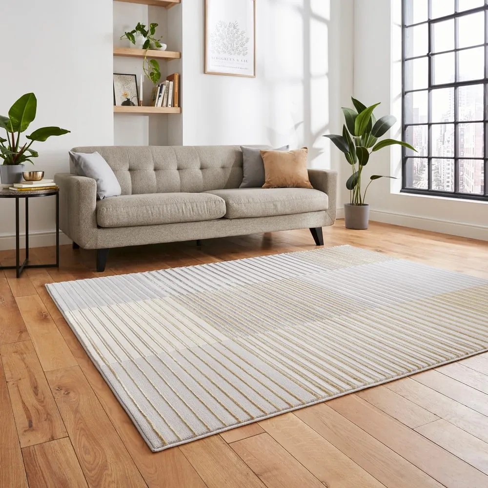Szürke-aranyszínű szőnyeg 170x120 cm Apollo - Think Rugs