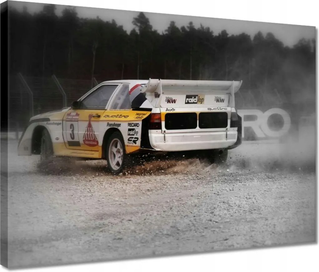 Vászonkép 40x30 Audi Quattro Drift Por
