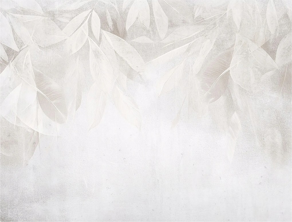 Fotótapéta Finom tollak Absztrakt nyugalom éteri 416x290 +ragasztó