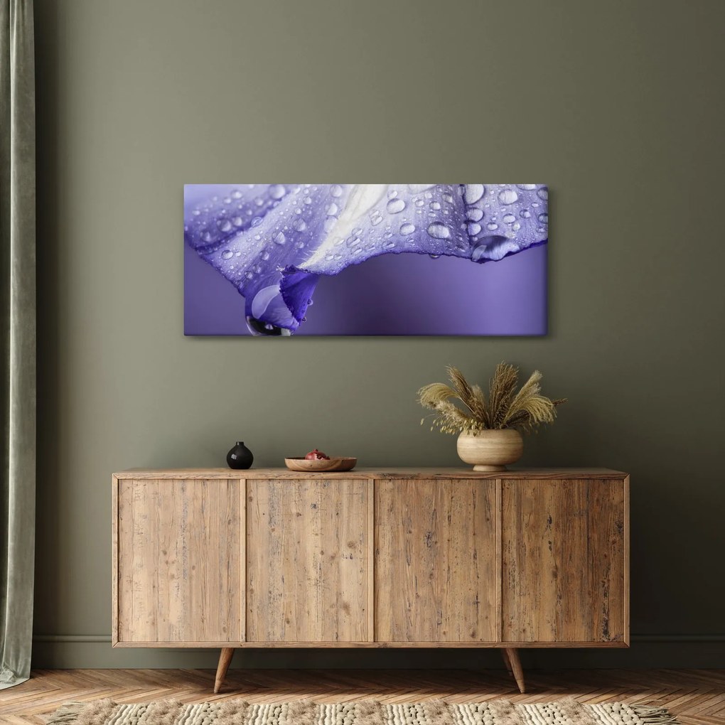 Kép - Szirom cseppekkel (120x50 cm)