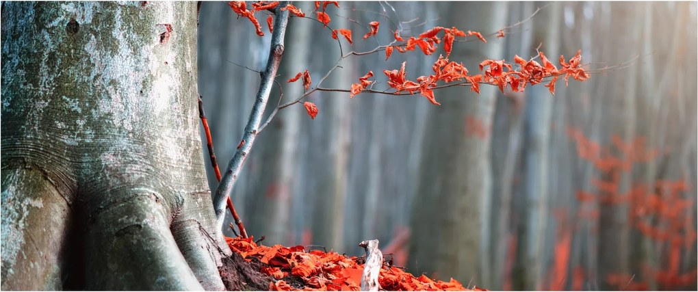 Kép - Ősz (120x50 cm)
