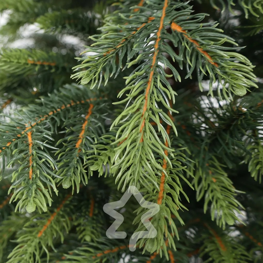 Natura lucfenyő 3D 180 cm