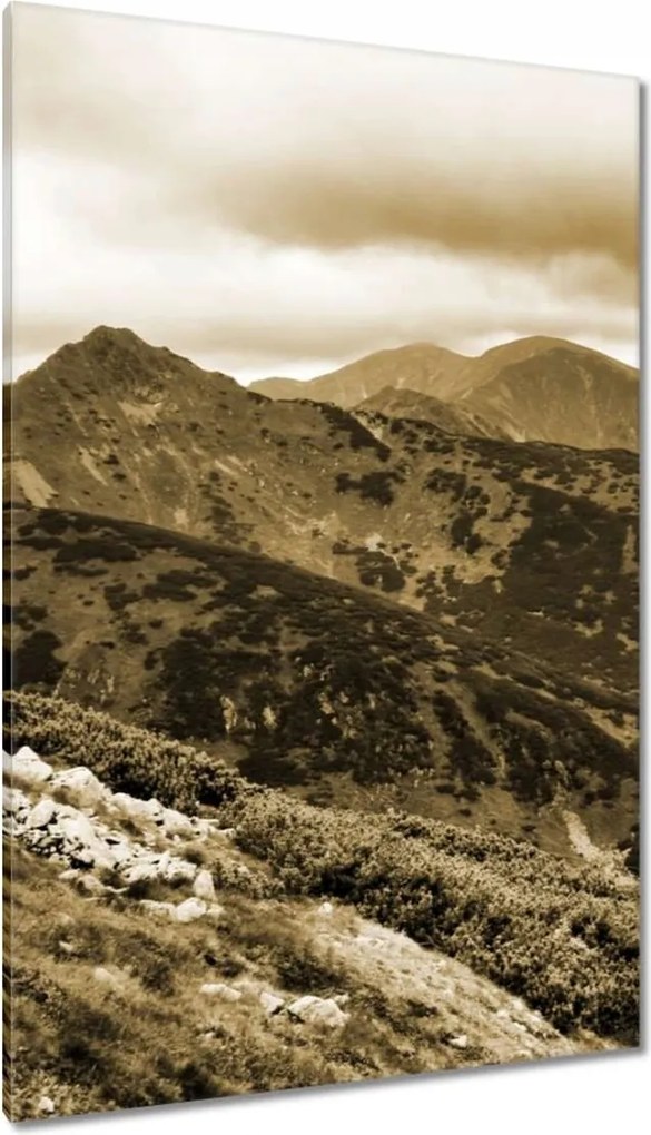 Vászonkép 80x120 Tátra Lengyel hegyek Kilátás