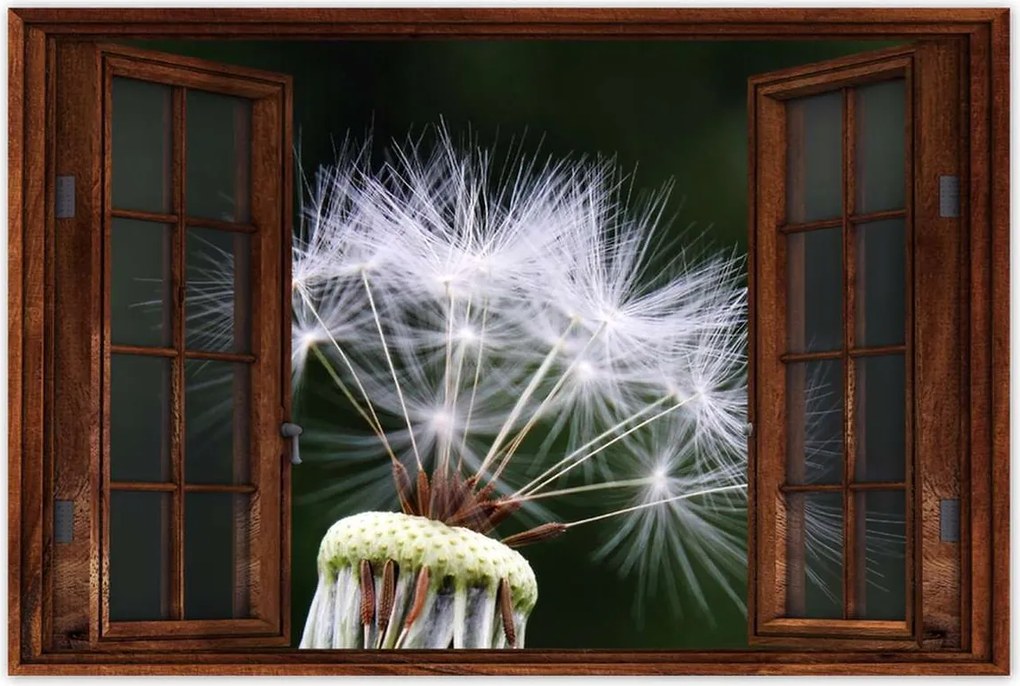 Poszterek 90x60 Pitypang Virág Virágok