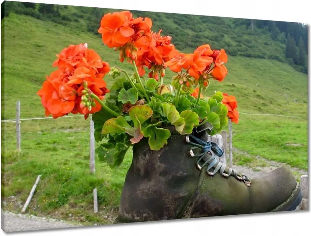 Vászonkép 90x60 Virág a csizmában