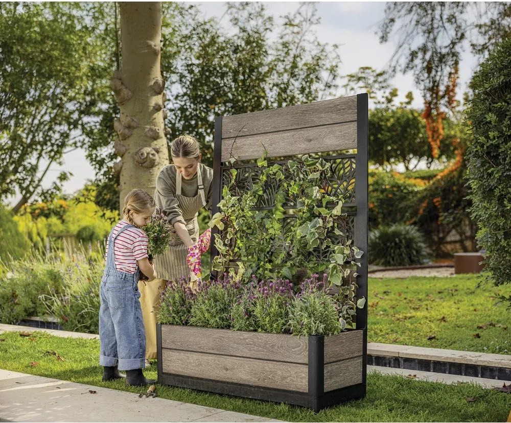 Magaságyás Deco – Keter