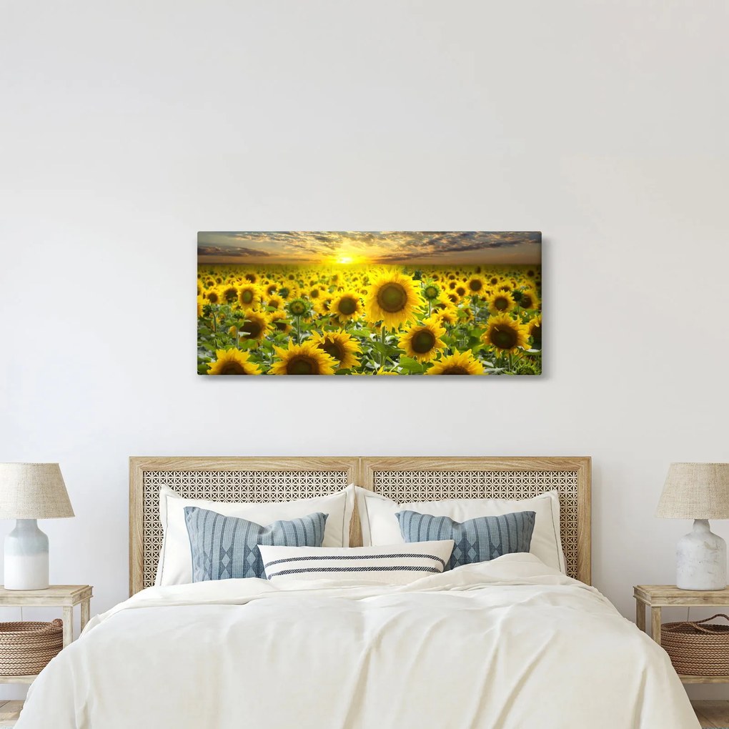 Kép - Napraforgók naplementében (120x50 cm)