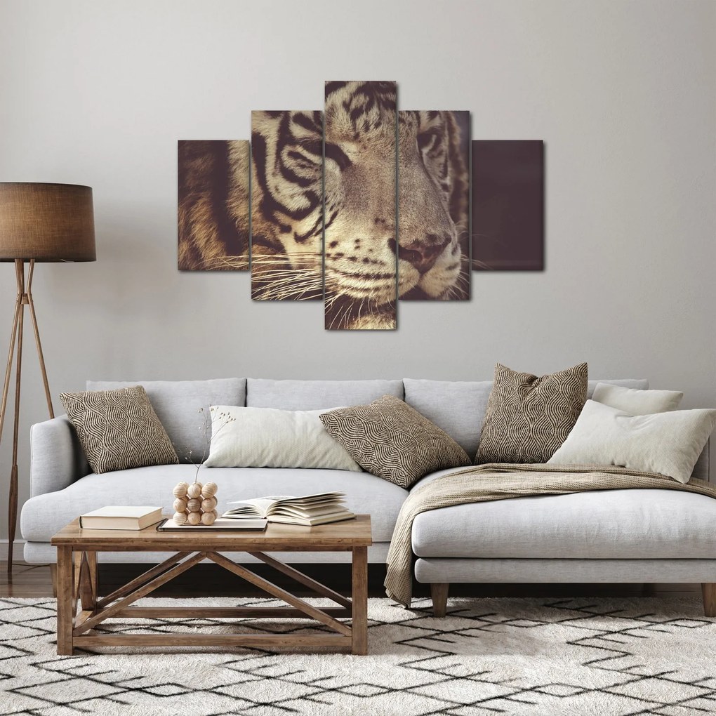 Tigris képe (150x105 cm)