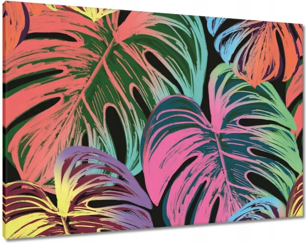 Vászonkép 100x70 Monstera levél színben