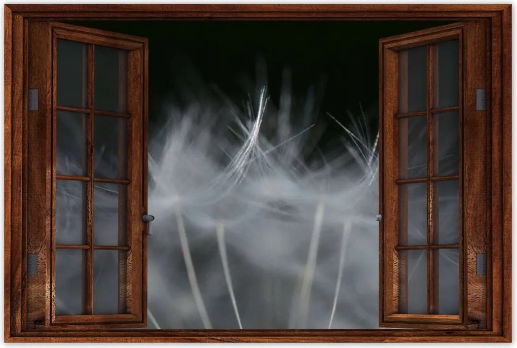 Poszterek 120x80 Pitypang Virág Virágok