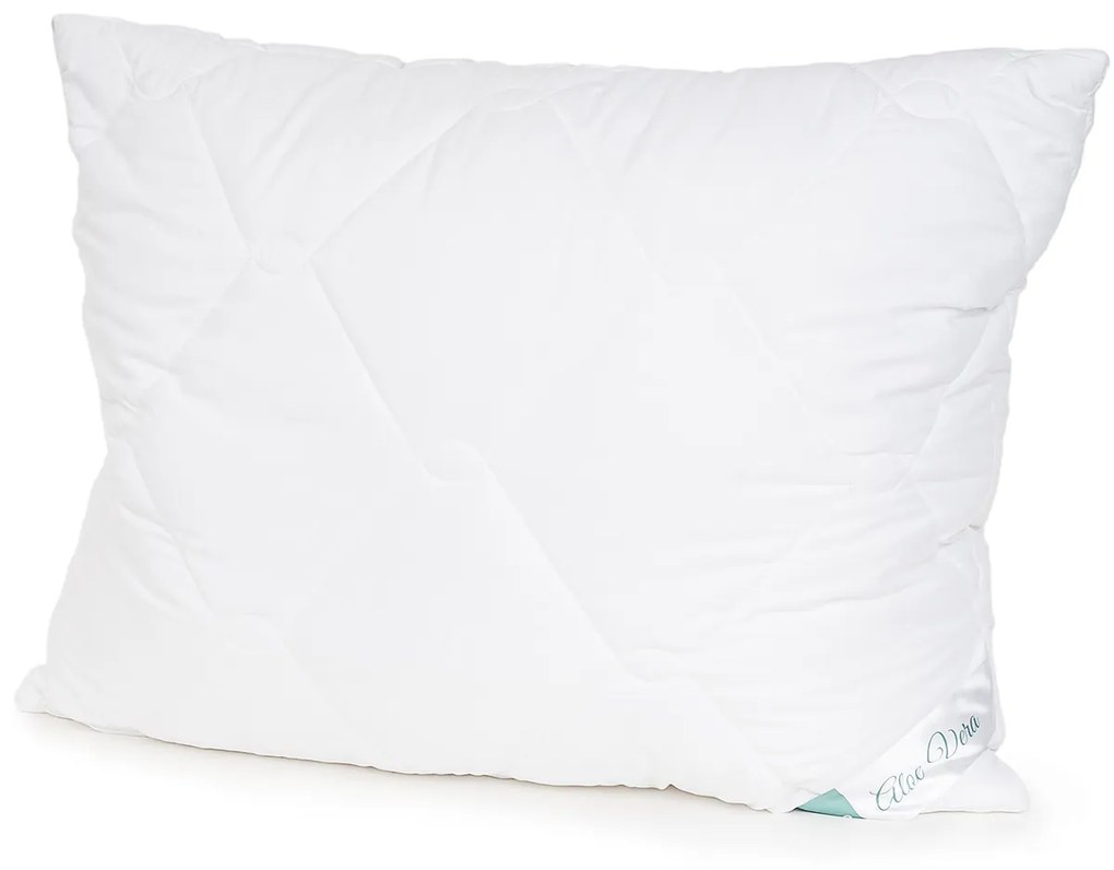 4Home Aloe Premium paplan és párna szett, 140 x 200 cm, 70 x 90 cm, 140 x 200 cm, 70 x 90 cm