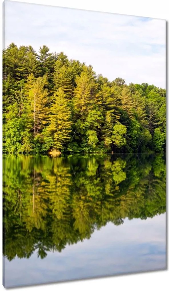 Vászonkép 80x120 Erdő Tó Felhők