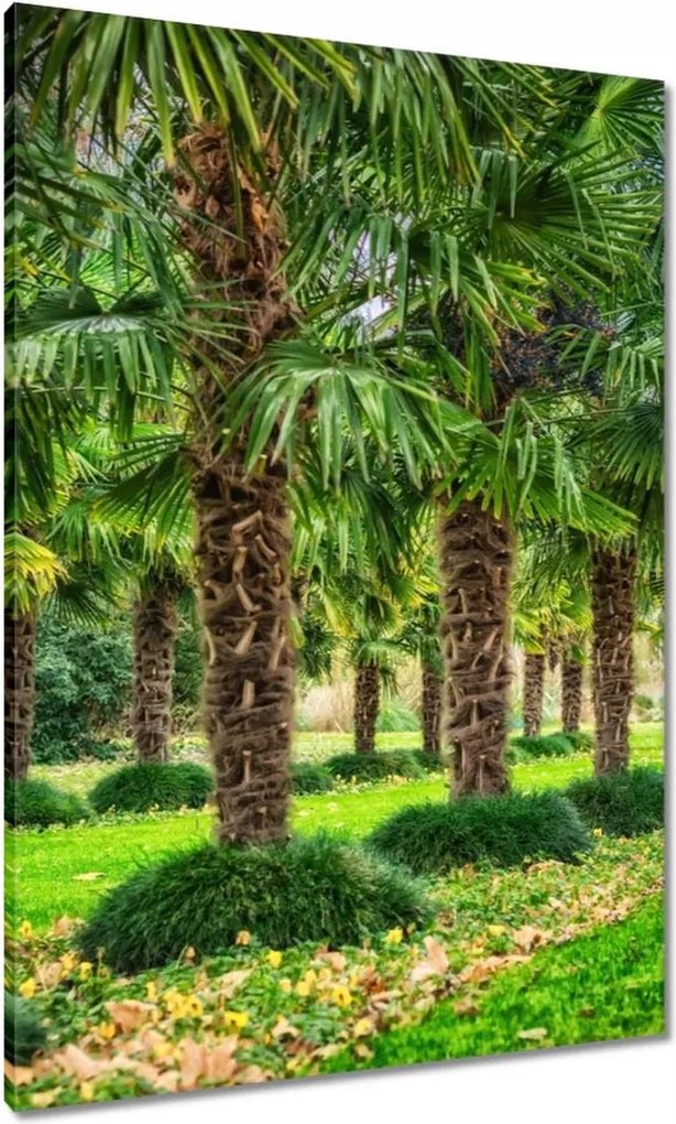 Festmények 70x100 Tájkép