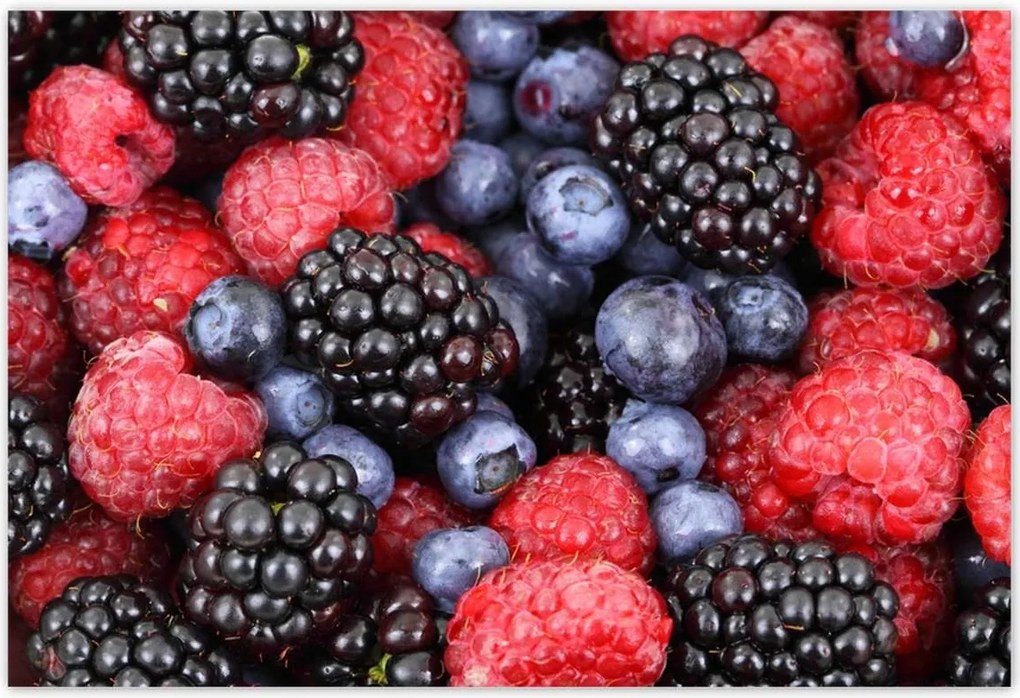 Poszterek 155x105 Zamatos gyümölcsök