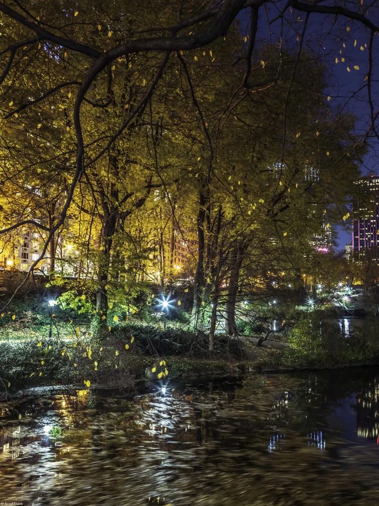 Poszter 30x40cm Esti kilátás a New York-i Central Parkra 7, Assaf Frank