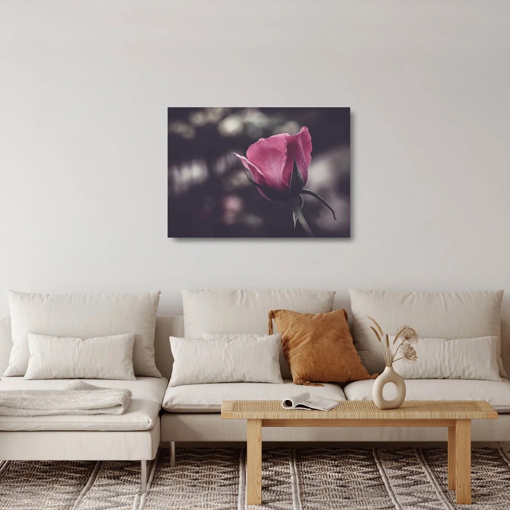 Kép - Rózsa virág részlete (üvegen) (70x50 cm)