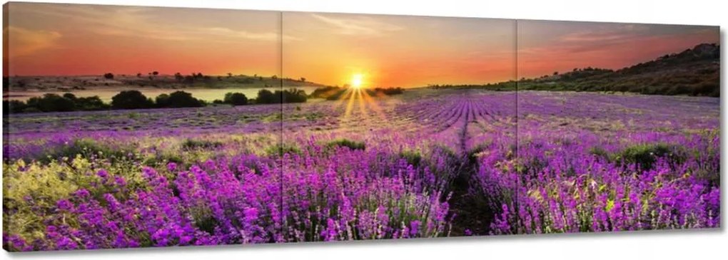 Vászonkép 90x30 Levendula rét