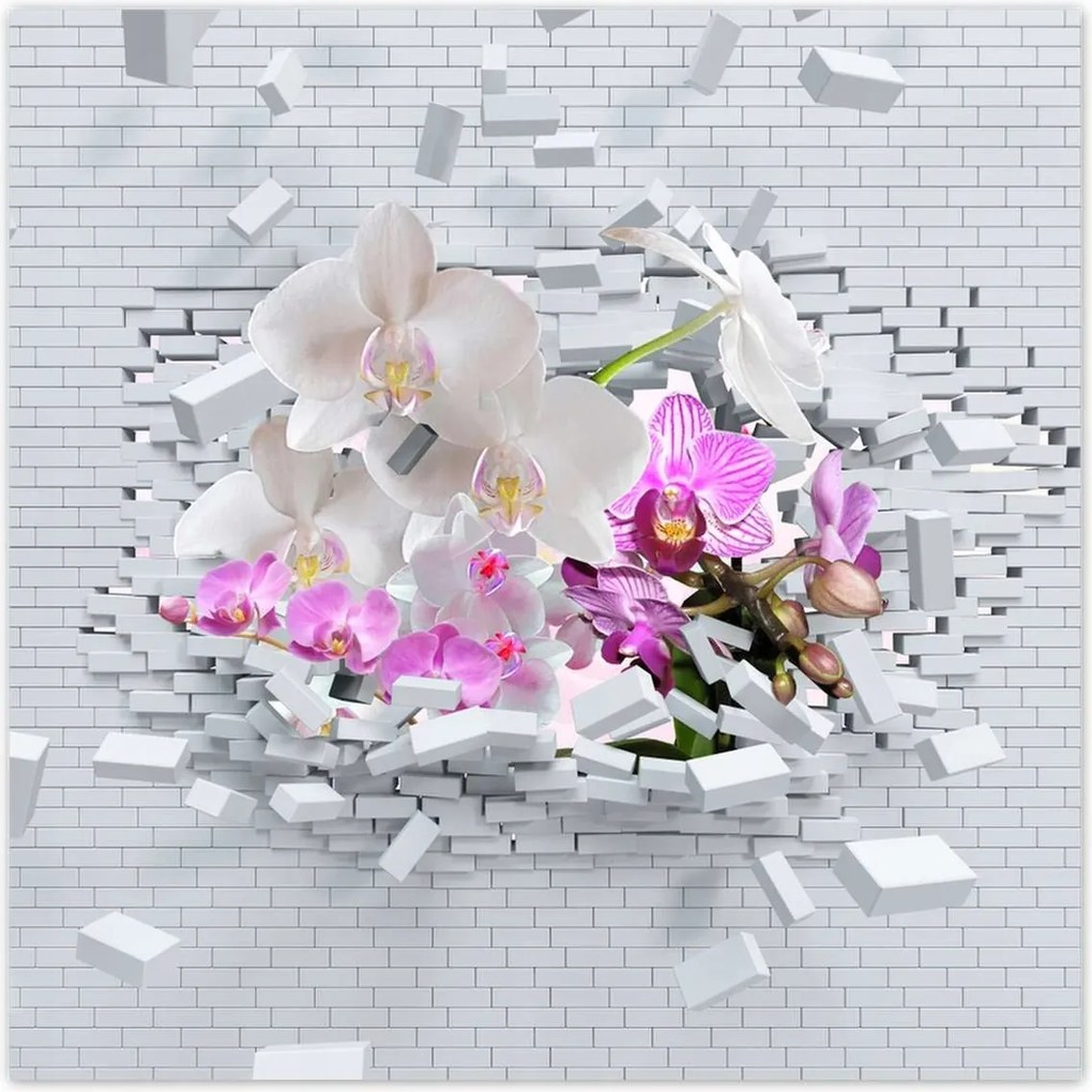 Poszterek 30x30 Orchidea a falon Virágok
