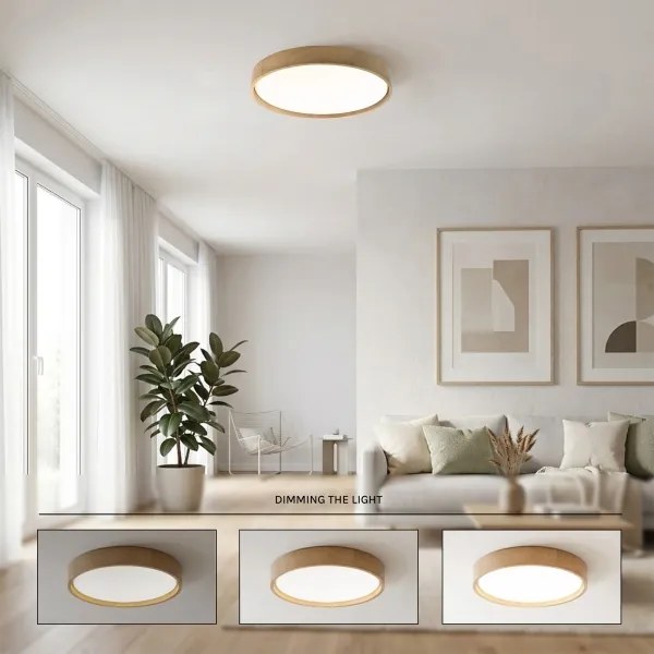 Brilagi - LED dimmelhető mennyezeti lámpa MANAROLA LED/36W/230V 3000–6500K átm. 51 cm + távirányító