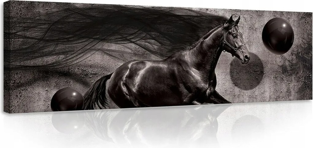 Kép 145x45 Ló futás ugrás sebesség erő kecsesség dinamika mozgás energia fekete