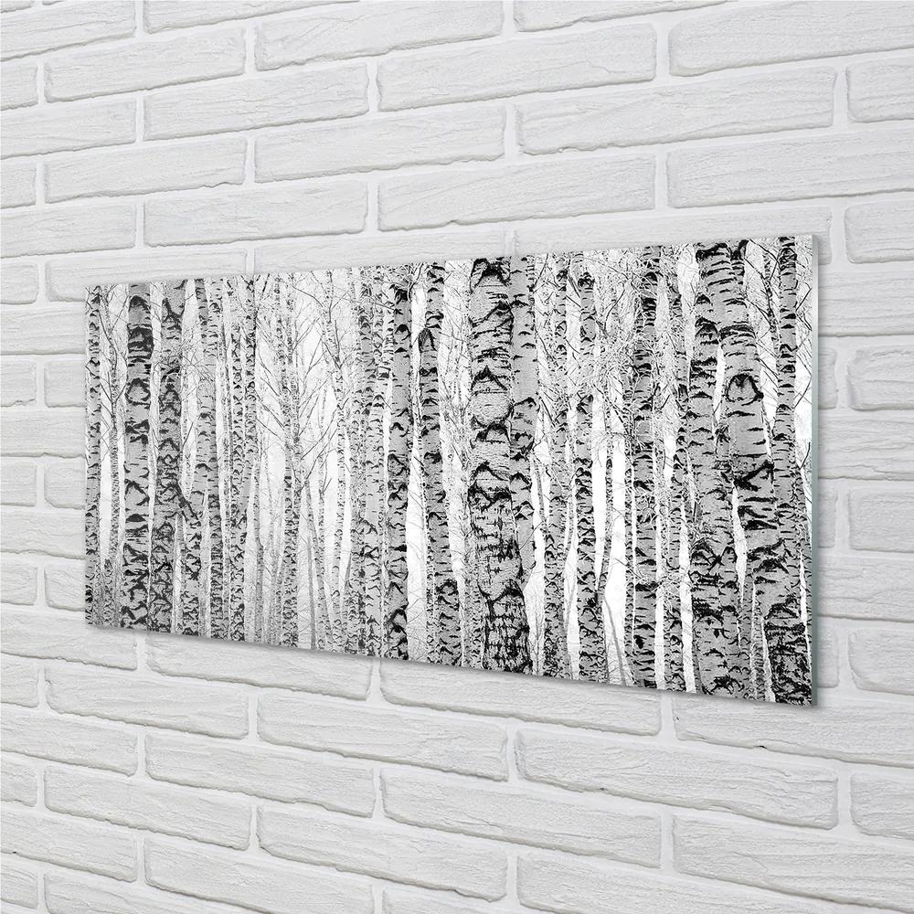 Üvegképek Fekete-fehér nyír 100x50 cm