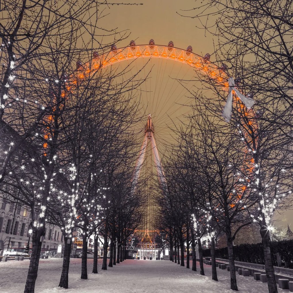 Poszter 70x70cm London Eye éjszaka fákkal, Assaf Frank