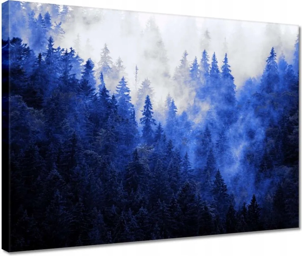 Vászonkép 40x30 Kék táj Hegyek