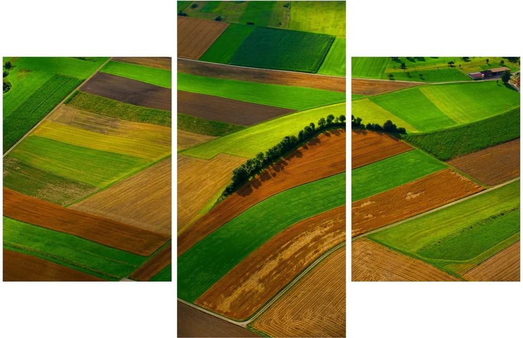 Kép - Mezők, rétek (90x60 cm)