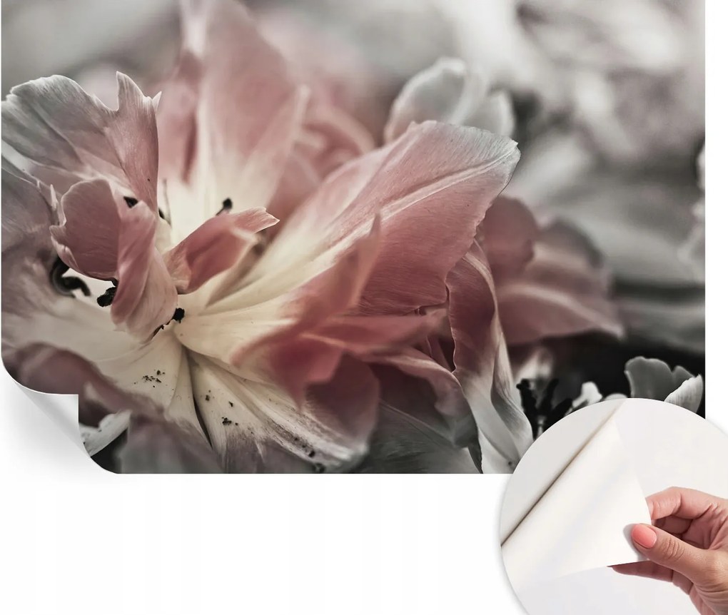 Design fali fotótapéta öntapadós pasztell virág 104x70 cm