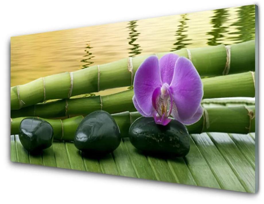 Akrilüveg fotó Virág Stones Bamboo Nature 140x70 cm