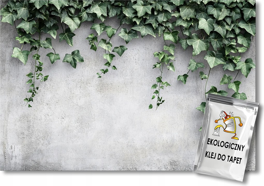 Fotótapéta Flizelina Fal Szürke Beton Kúszó Borostyán Levelek 300x210 ragasztó
