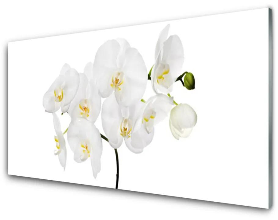 Modern üvegkép Fehér Orchidea Virág 140x70 cm