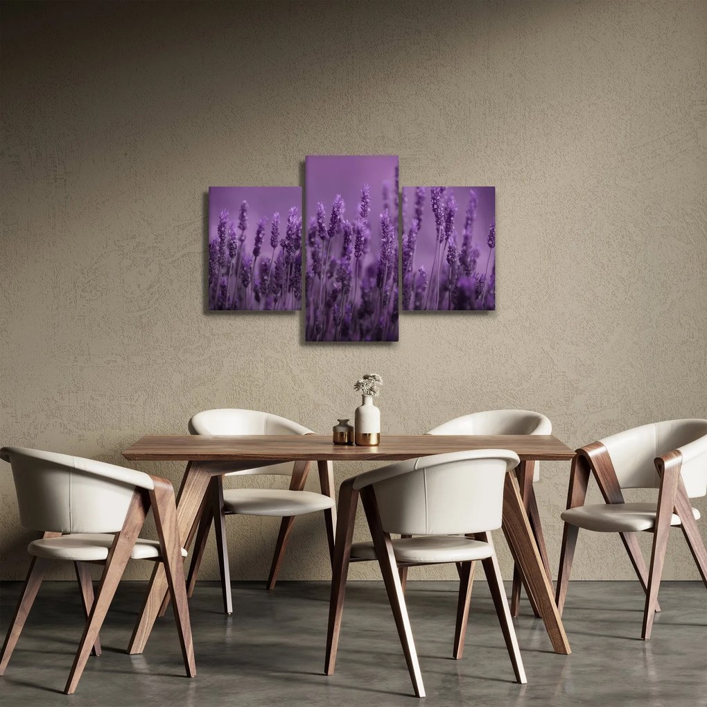 Kép - Levendula (90x60 cm)
