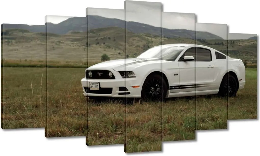 Képek 140x80 Fehér Ford Mustang