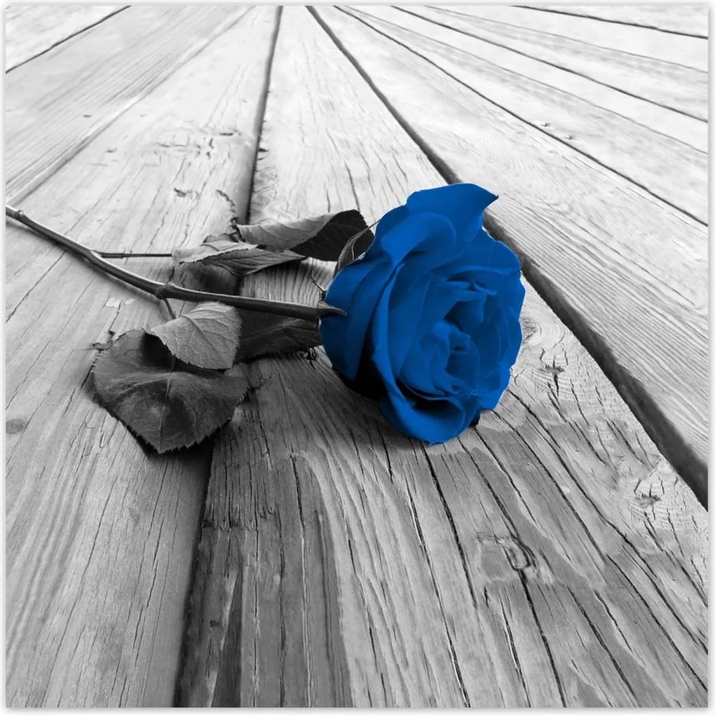 Poszterek 100x100 Kék rózsa a deszkákon