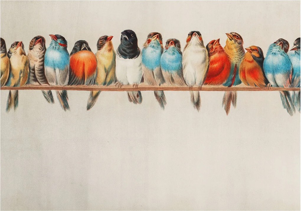 Fotótapéta Flizelin Dekoratív tapéta Madarak az ágon 312x219 Ragasztó