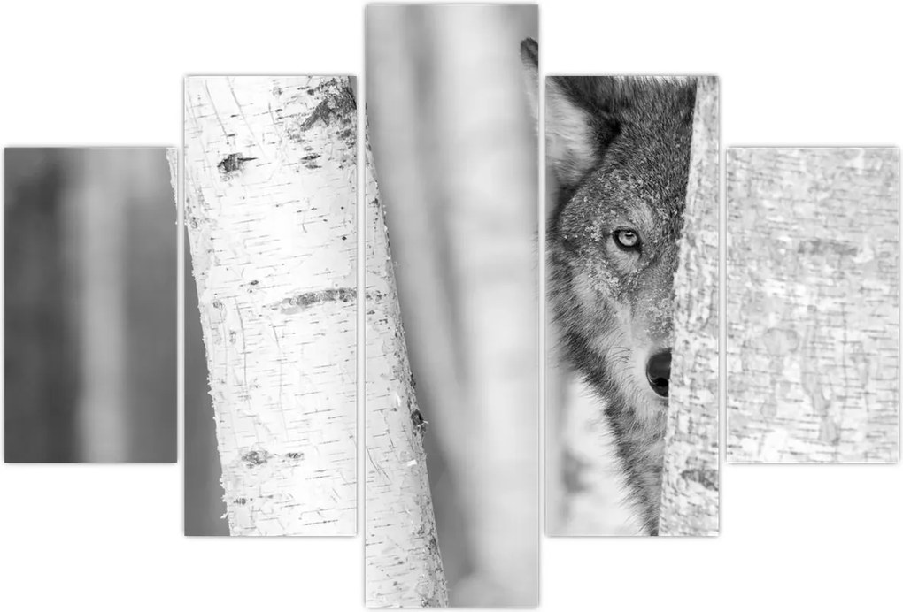 Kép - Farkas az erdőben (150x105 cm)