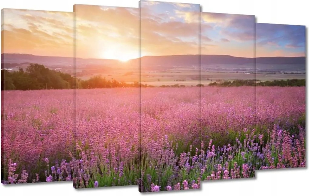 Vászonkép 100x60 Csodálatos naplemente