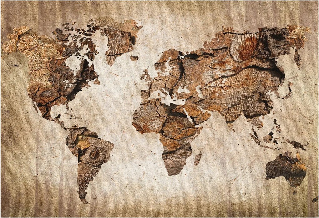 Flizelin tapéta Flizelin fali prémium fa térkép 152x104