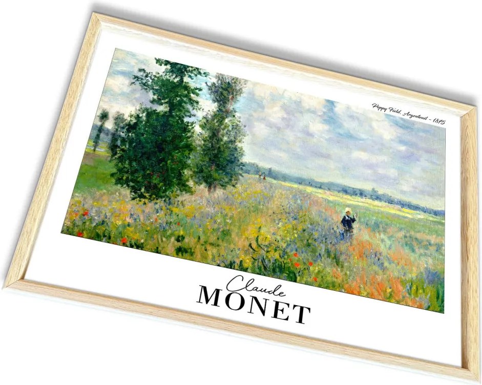 4262AHSMONET-021