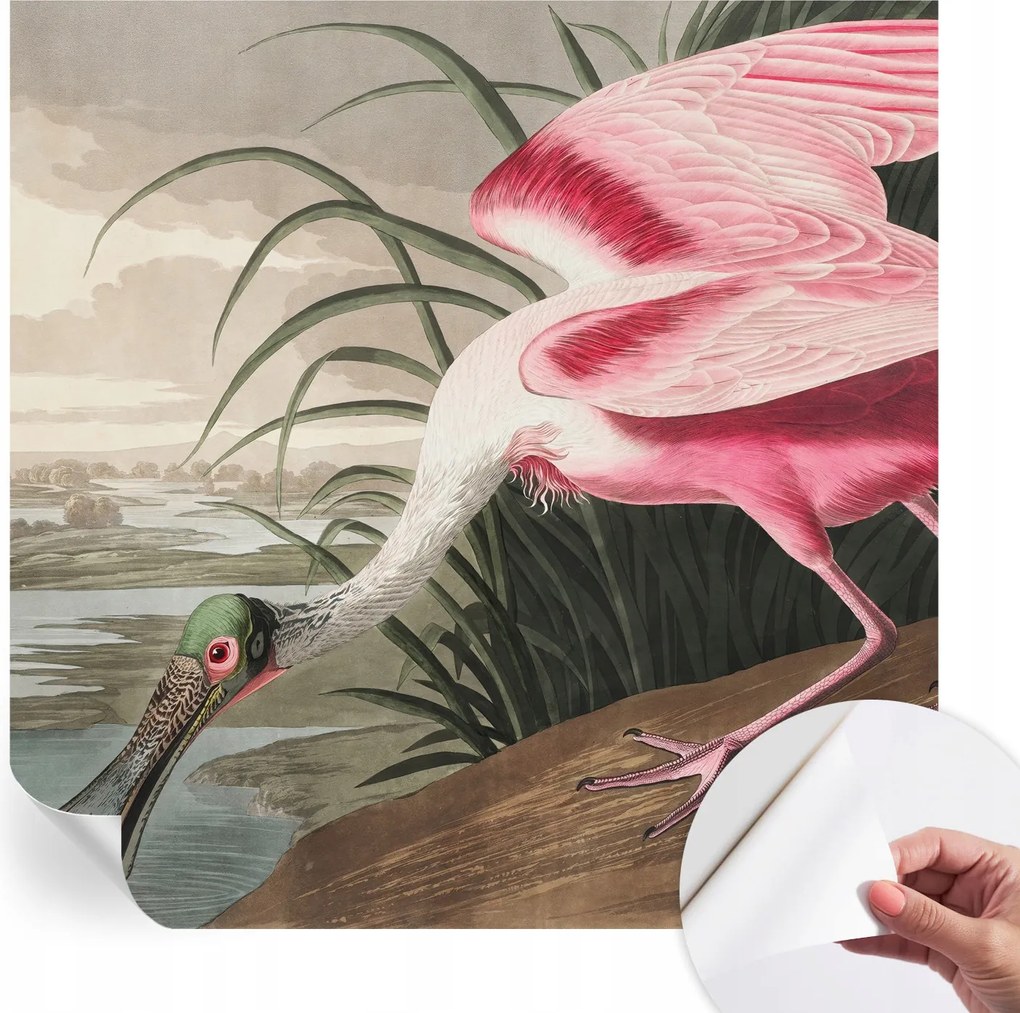 Öntapadós fotótapéta Konyha Mosható Egzotikus madár 250x250 cm