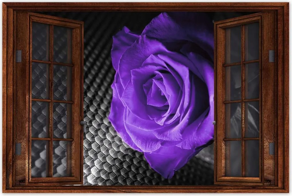 Poszter 60x40 Lila rózsa