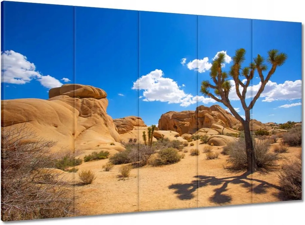 Vászonkép 100x70 Kaktusz a sivatagban