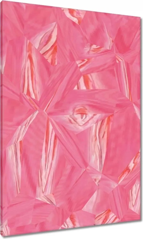 Vászonkép 70x100 Absztrakt Emmanuelle Rózsa