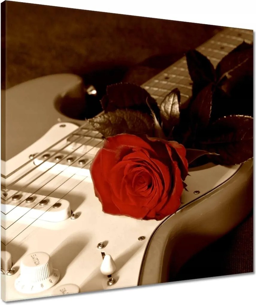 Vászonkép 50x50 Evező és rózsa