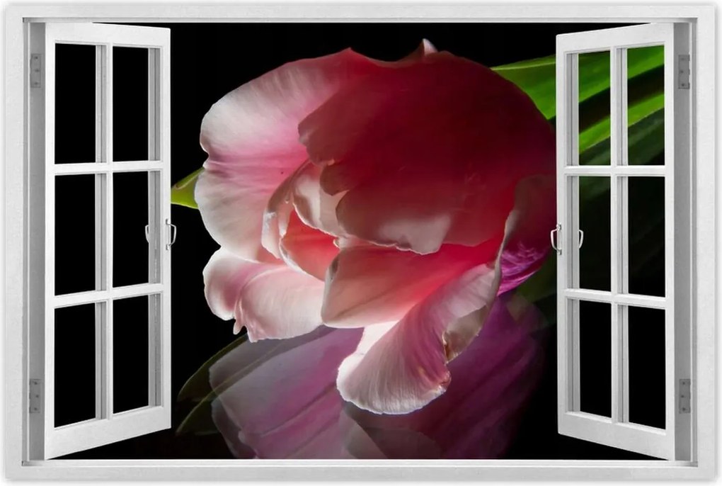 Poszterek 90x60 Rózsaszín tulipán virág