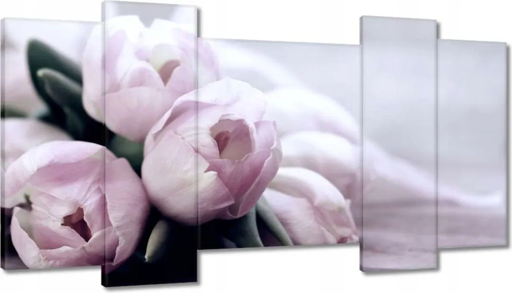 Képek 120x65 Tulipánok Virágok