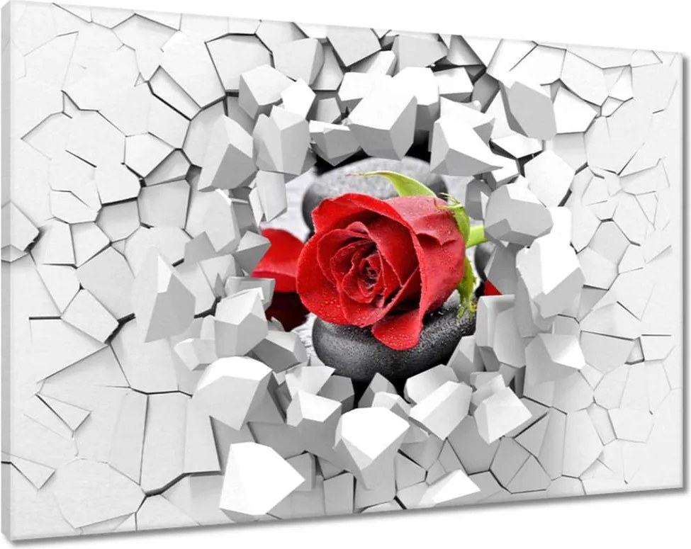 Vászonkép 120x80 Vörös rózsa Neki